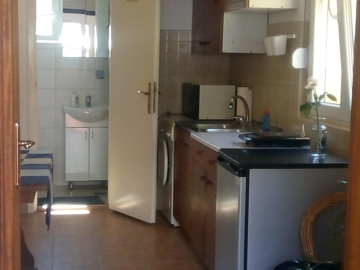 Marijana - Center Leilighet Novi Sad Eksteriør bilde